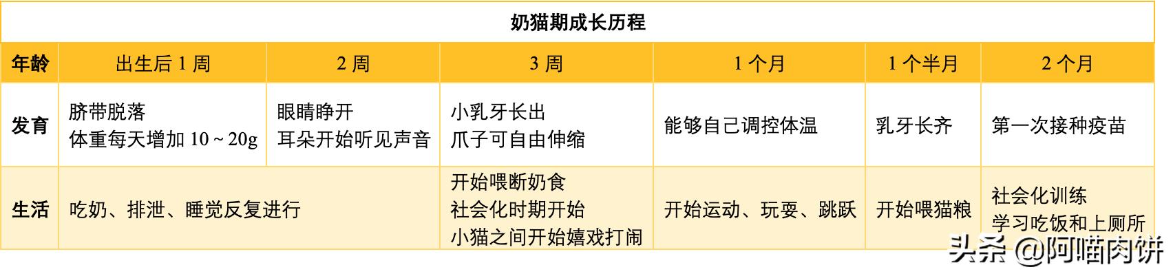 小龙猫用什么人工喂奶:如何照顾刚分娩的龙猫妈妈和小龙猫？ 小龙猫怎么人工喂奶