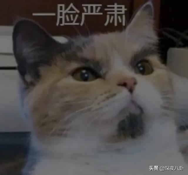 沈腾个人资料简介及:人民日报、环球时报相继点名称赞沈腾，你怎么看