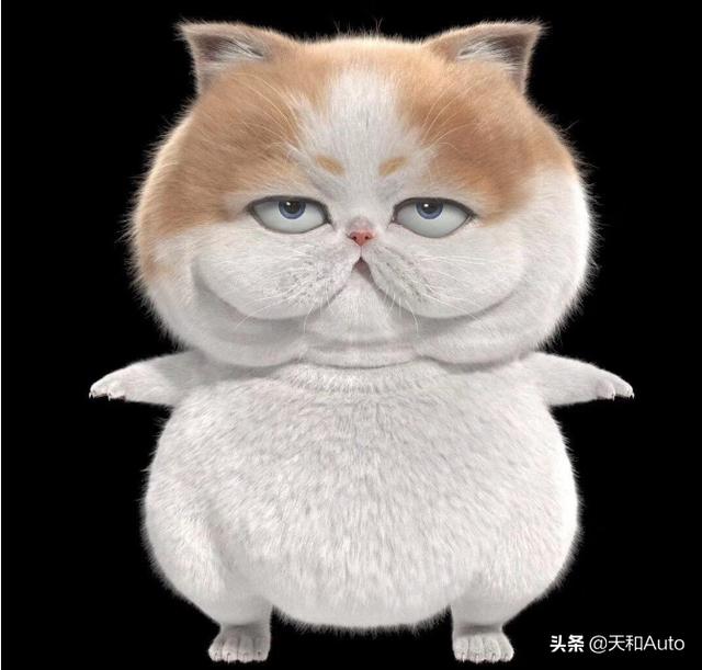 乔见猫销量:猫销量排行榜 预计售价15万，长城欧拉“最贵”的大猫能成为电动车新宠吗？