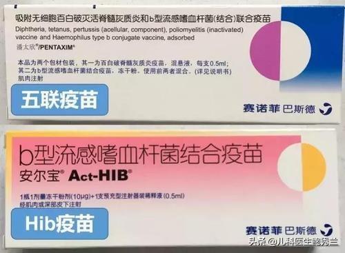 乙型脑炎疫苗不良反应:在农村养猪常用的疫苗有哪些？如何正确使用疫苗？