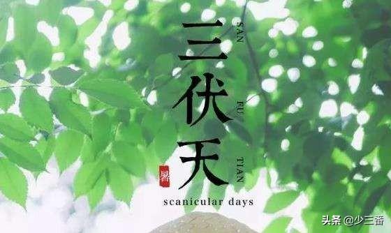 入伏从哪一天开始算起:农村俗语“夏至三庚数头伏”，今年什么时候入伏？