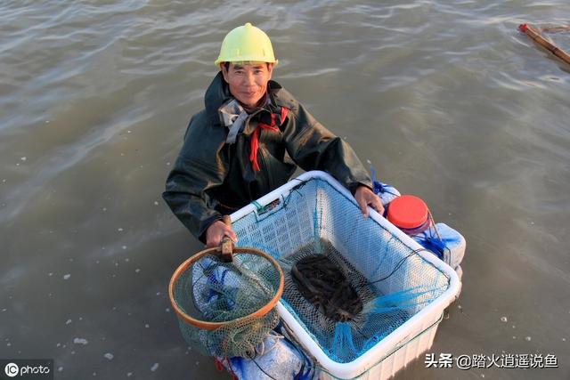 小肠炎的早期症状:养殖鱼虾，遇到鱼虾肠炎怎么办？有好的治疗方法和技巧吗？