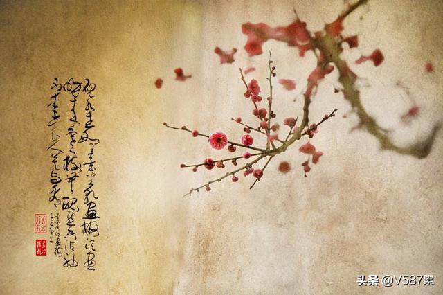 杨廷和字介夫:中国古代历史上，四川出现了哪些政治家和军事家？