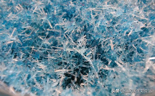 黄精蝮蛇丸:什么食物能溶解尿酸结晶？