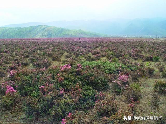 世界美景高清图片，你觉得世界上最好的旅游景点是哪里