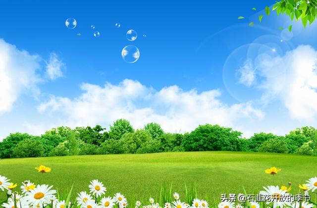 怎样在今日头条上发布文章什么样的文章受欢迎