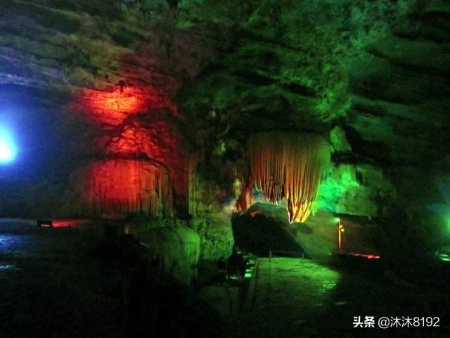 石花图片,中午才晒得到的地方养多肉可以吗？