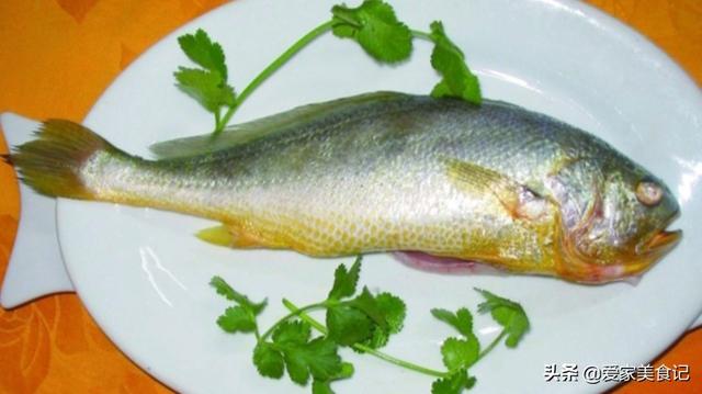 含有丰富蛋白质,维生素a,维生素b,钙,铁,锌等营养成分,只有一根独刺