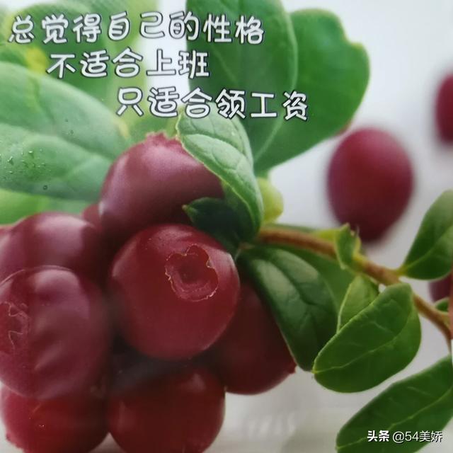 善诊<a href=https://maguai.com/list/56-0-0.html target=_blank class=infotextkey><a href=https://maguai.com/list/56-0-0.html target=_blank class=infotextkey>健康</a></a>公众号:人能不能控制自己的欲望？