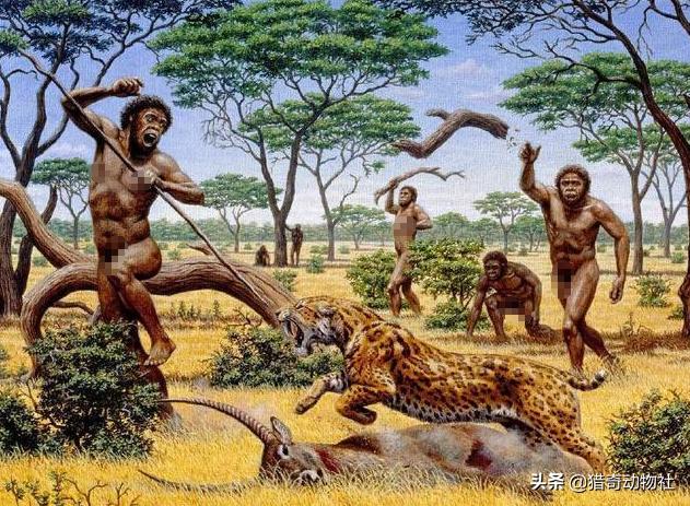 非洲象人族纪录片:印第安人是不是从北冰洋过去的亚洲人