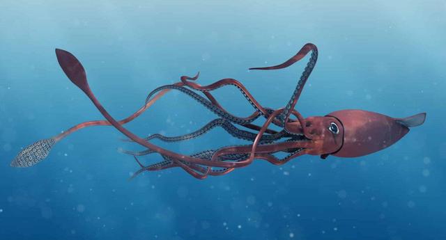 为什么人类不吃大王酸浆鱿鱼?能吃吗? | one知识