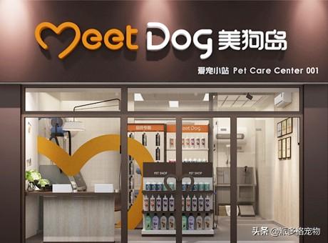 经营宠物护理店:在大学旁开家宠物店怎么样？