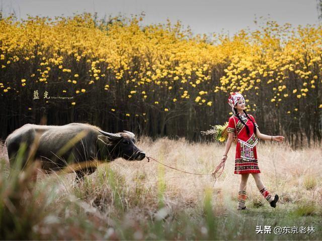伤心童话剧情:周星驰拍的《美人鱼》这部电影主要讲述什么看完有什么感想