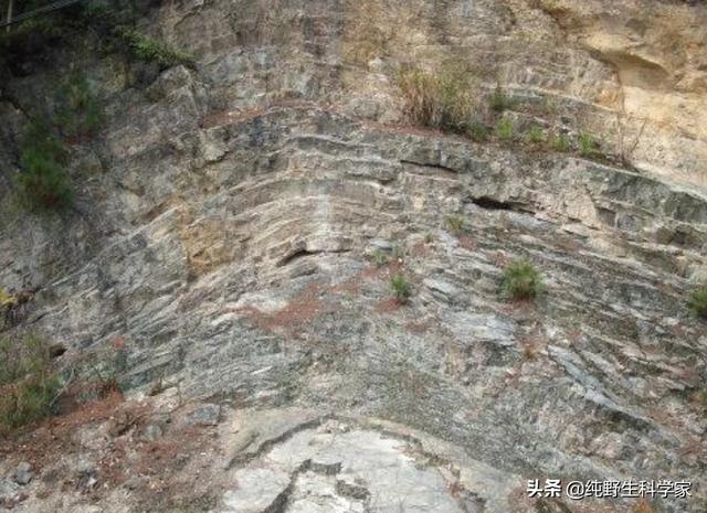 纯碱和醋可以做火山爆发，火山喷发实验的原理是什么