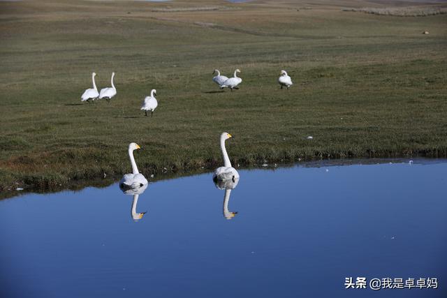 你一个人去旅行过吗有什么感受呢