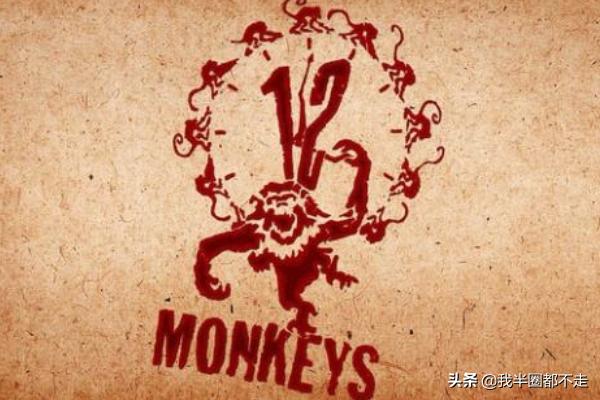 十二只猴子剧情:科幻悬疑片《十二猴子》你们看懂了么有什么理解