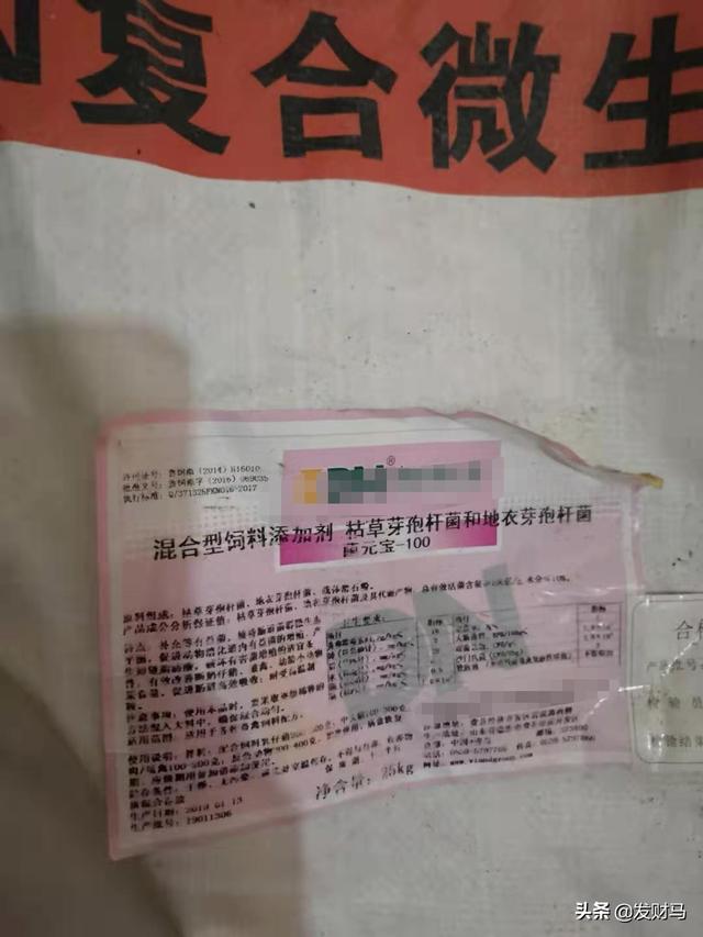 猪传染性胃肠炎:猪传染性胃肠炎怎么治 猪传染性胃肠炎怎么防治？