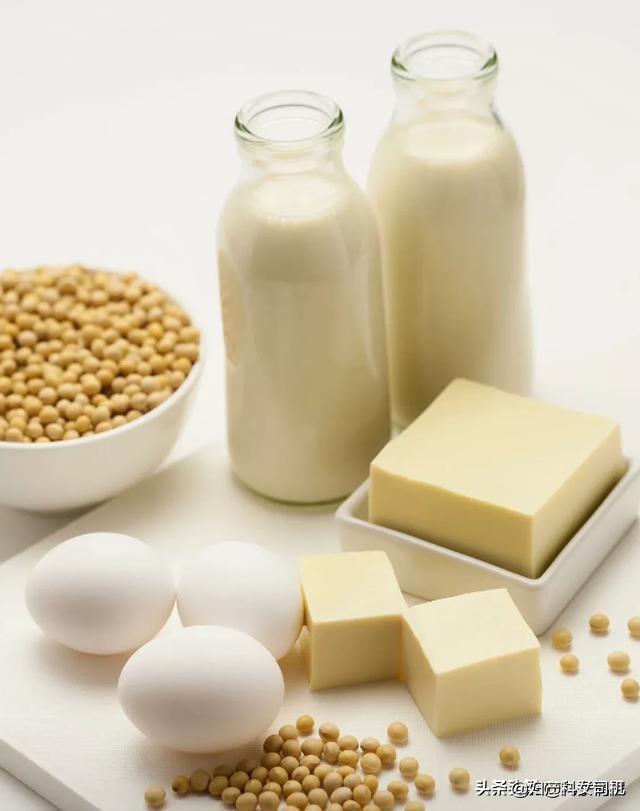 牛奶的优质蛋白有多高，补充蛋白质喝牛奶好还是喝豆浆好