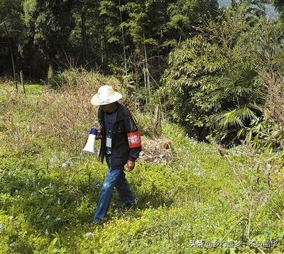 造福鸟招聘:给你三万一个月，当护林员，没有电，没有手机信号，你去吗？