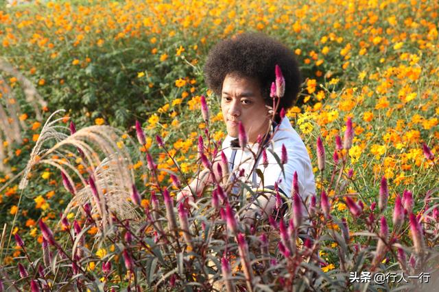赵英俊去世原因:赵英俊肝癌离世，生前发文吐槽中医治疗，难道暗示中医治疗无效