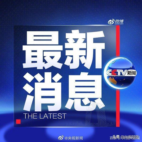 地震搜救犬全部处死:内蒙古一高校被爆出一黑衣人用铁棍将流浪狗打死，你怎么看这事？