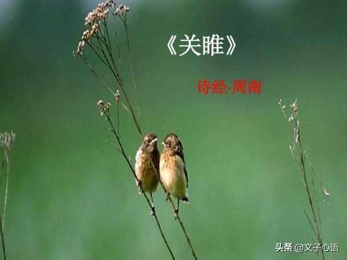 “窈窕淑女,君子好逑”出自《诗经》的那一篇？
