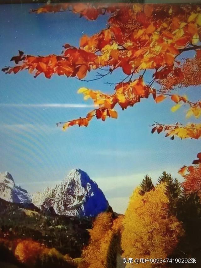 霜降到立冬的养生该如何做？