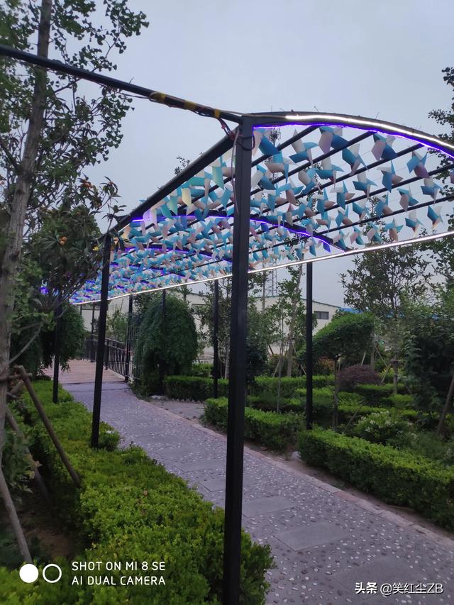 为什么在中国男女之间的事情这么多？在国外的却很少还是我不知道？