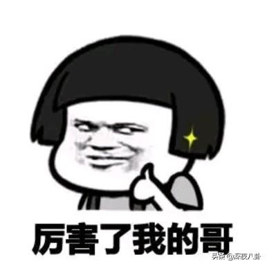 杨丽萍金星吵架:为什么金星胆那么大，谁哪个都敢开涮
