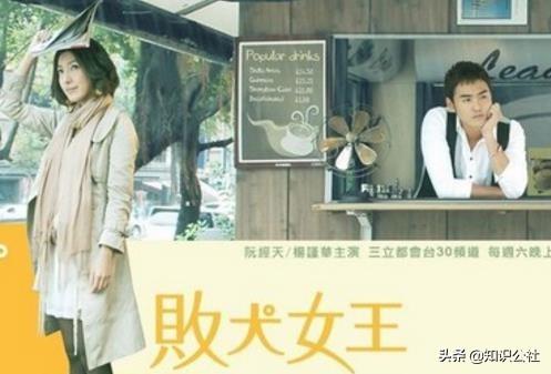 杨谨华演过的电视剧:电视剧《败犬女王》是谁领导主演的？