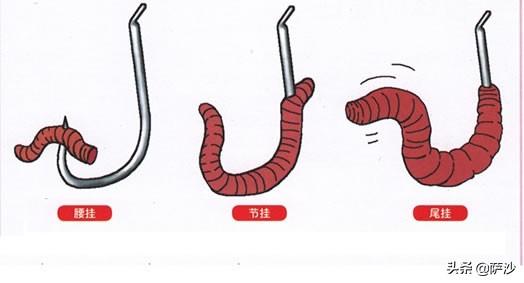 渔民被困钱塘江:在温纳贝戈湖冰面上行驶安全吗？