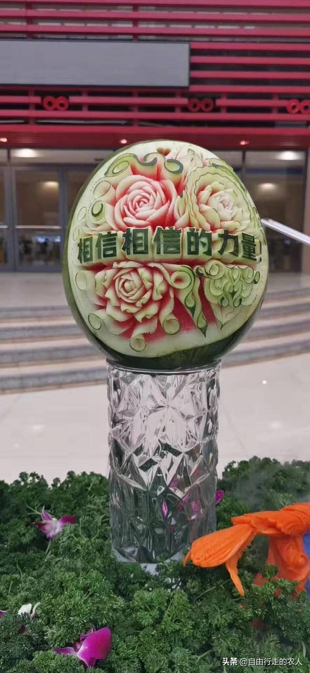 进入2020年,农村适合种植什么呢？赚钱的种植项目都有什么？