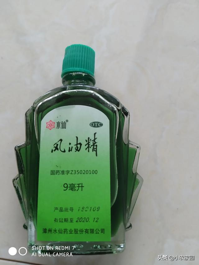 斗牛犬躲冰箱避暑视频:热死个人了，除了开空调，还能怎么降温？ 斗牛犬躲冰箱避暑