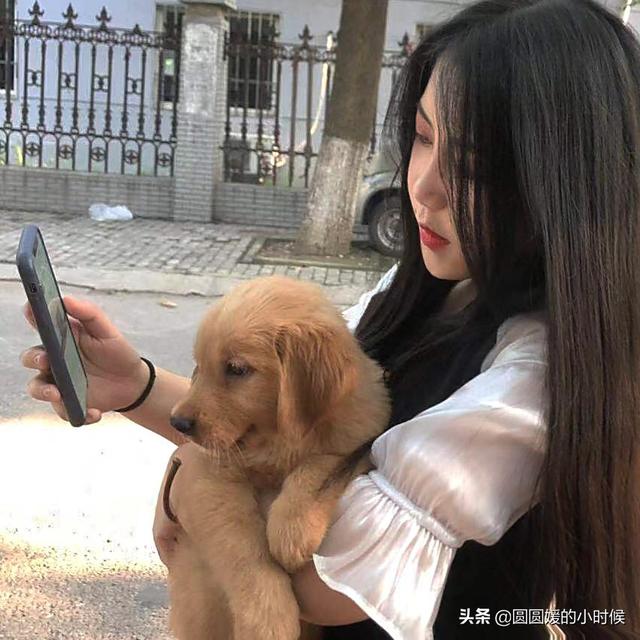 金毛犬性格好不好:我想养一只金毛，需要注意什么，别人告我千万别养，费钱费时间？ 金毛犬的性格