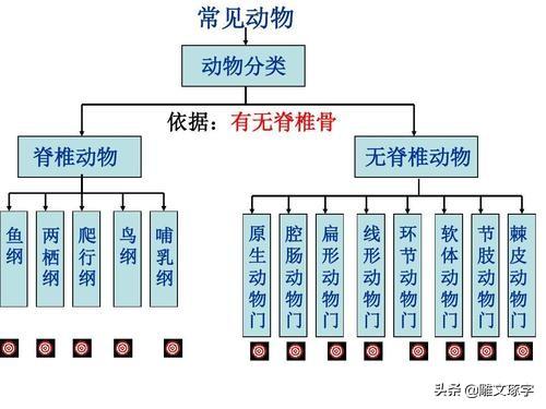 头条问答 为什么蝙蝠是哺乳动物 却是 虫 字旁 28个回答