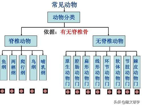 头条问答 为什么蝙蝠是哺乳动物 却是 虫 字旁 28个回答