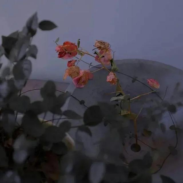 个性签名大全最新版:有什么好看又好听的个性签名可以推荐呢？