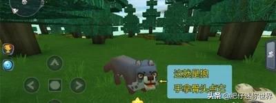 迷你猪:《迷你世界》的猪怎么引？ 迷你猪会长大吗