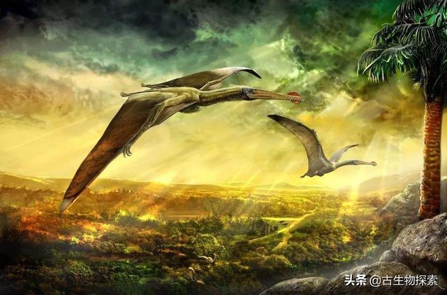 鸟的祖先图片:恐龙演化成鸟类为什么要舍弃牙齿呢？