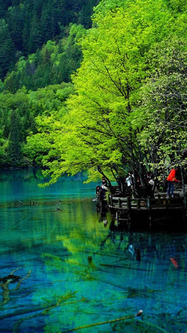 值得饱览的中国八大“人间仙境”旅游景区,你去过几个？