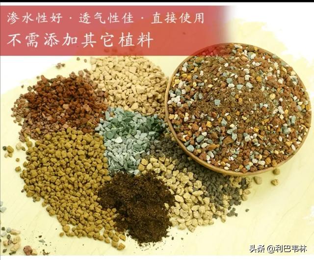 养多肉用什么“土壤”比较好？