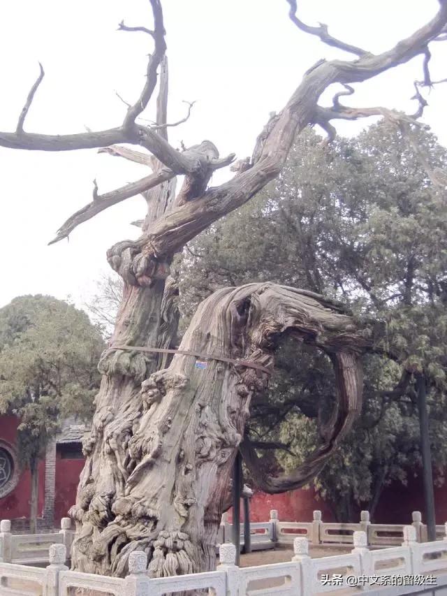 封禅祭:为什么有些古代帝王要封禅泰山？