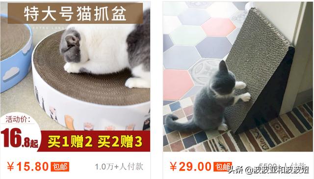 神采飞扬宠物团购:神采飞扬宠物店 亏损持续，商家“逃离”，美团为何深陷困局？
