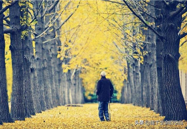 人们常说,时间能带走一切,是真的吗？为什么？