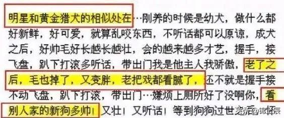 欧阳隆基:官宣离婚毫无水花，暴瘦的欧弟是彻底凉了吗