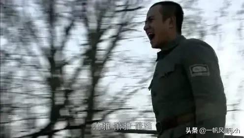 电视剧雪豹剧情介绍:如何评价【雪豹】这部电视剧？为什么有这么多人看？
