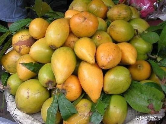 风王利奇马名字是怎么起的？每次台风都是根据什么命名的？