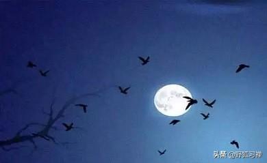 《十五夜望月》这首古诗前两句在写什么？哪几处景物营造出了清冷澄净素洁的意境？