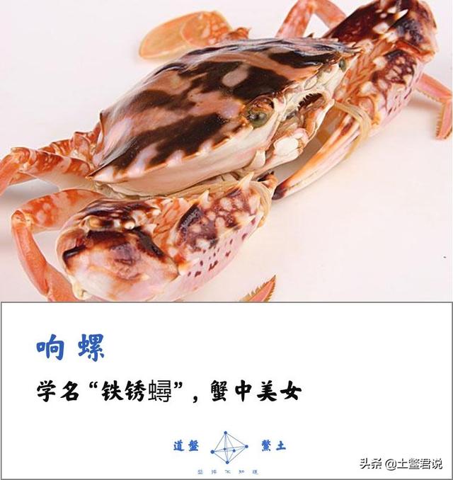 龙趸王:中国四个海哪个海里的海鲜好吃，为什么