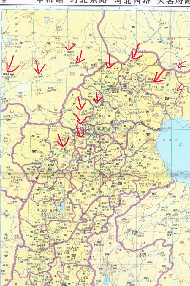 乐乐藏獒世家:蒙古军队南下时，金国为什么不撤回东北，而选择了南迁？